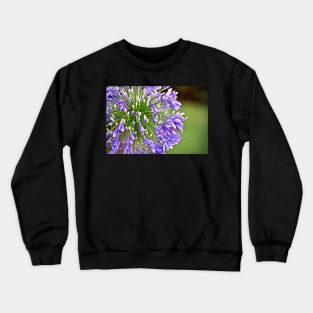 Agapanthus (African Lily) Crewneck Sweatshirt